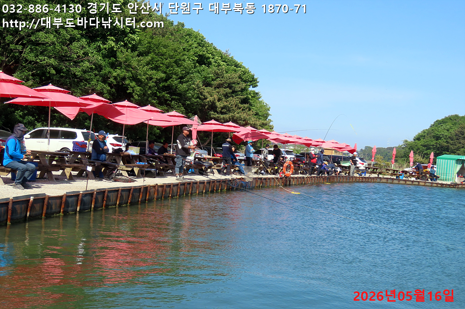 IMG_8864.jpg