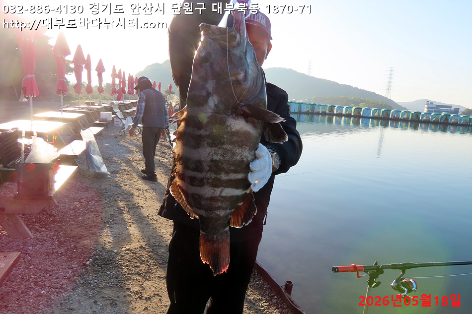 IMG_8892.jpg
