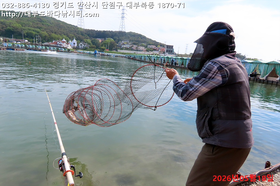 IMG_8906.jpg