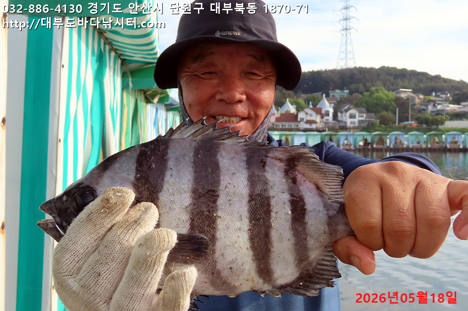IMG_8978.jpg