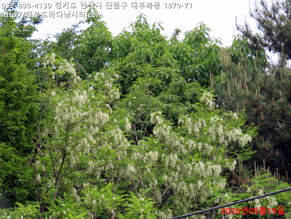IMG_1760.jpg