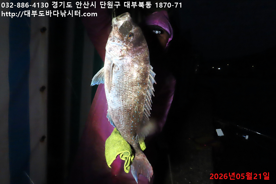 IMG_8996.jpg