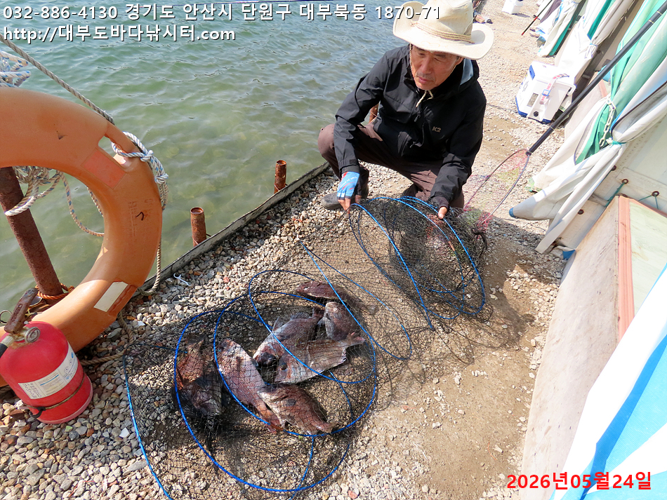 IMG_1927.jpg