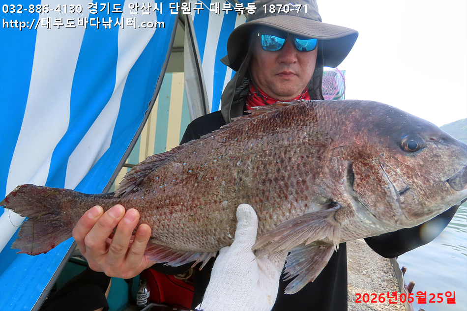 IMG_9222.jpg