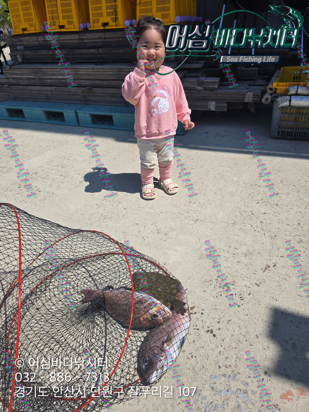 IMG_2151.JPG