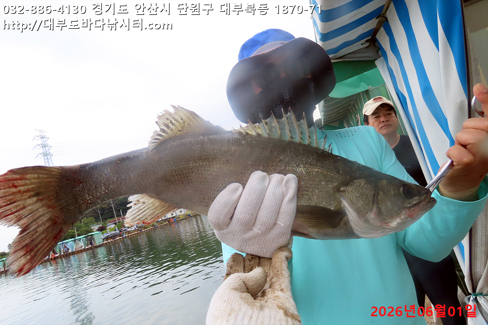 IMG_9437.jpg