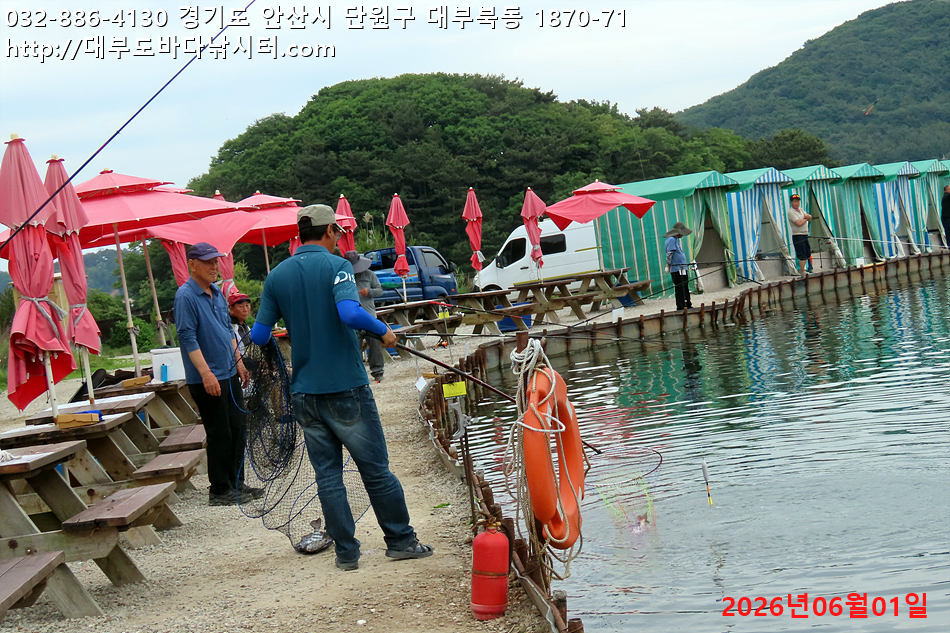 IMG_9449.jpg