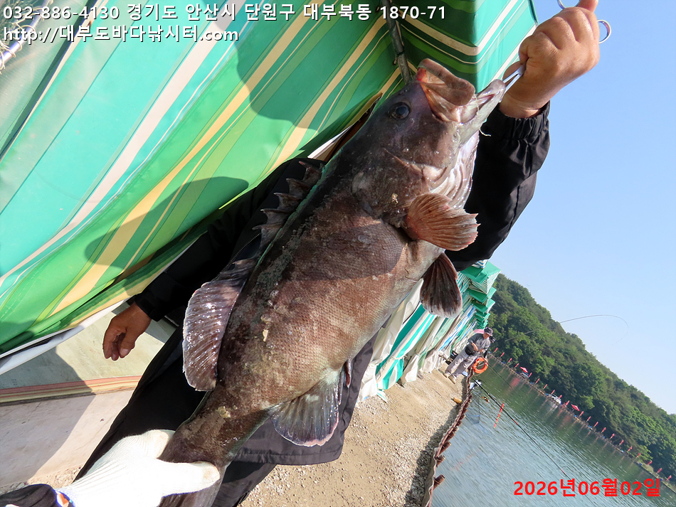 IMG_2161.jpg
