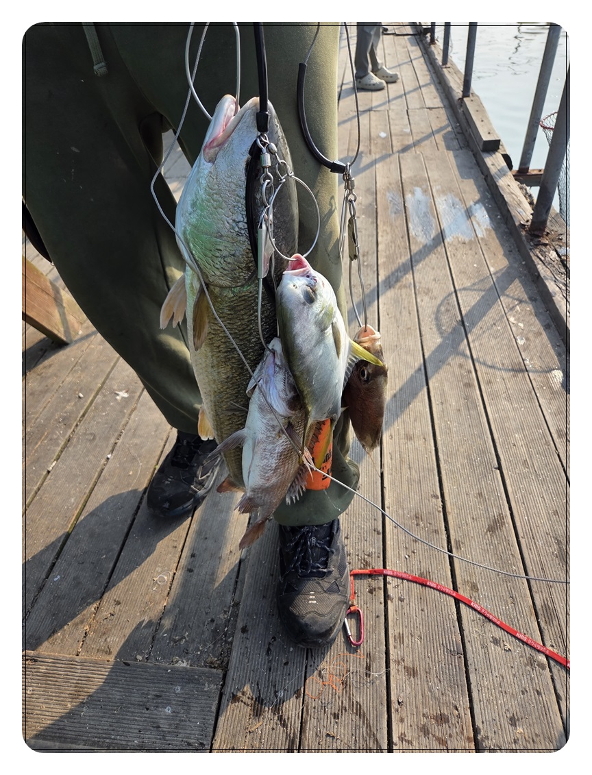 009.jpg