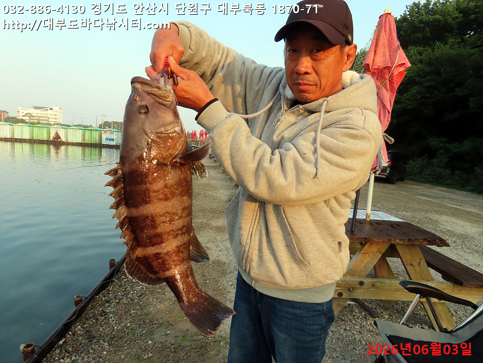 IMG_2211.jpg