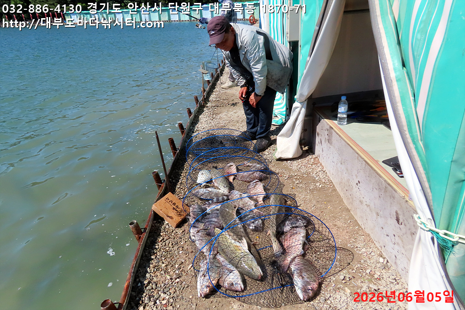 IMG_9501.jpg