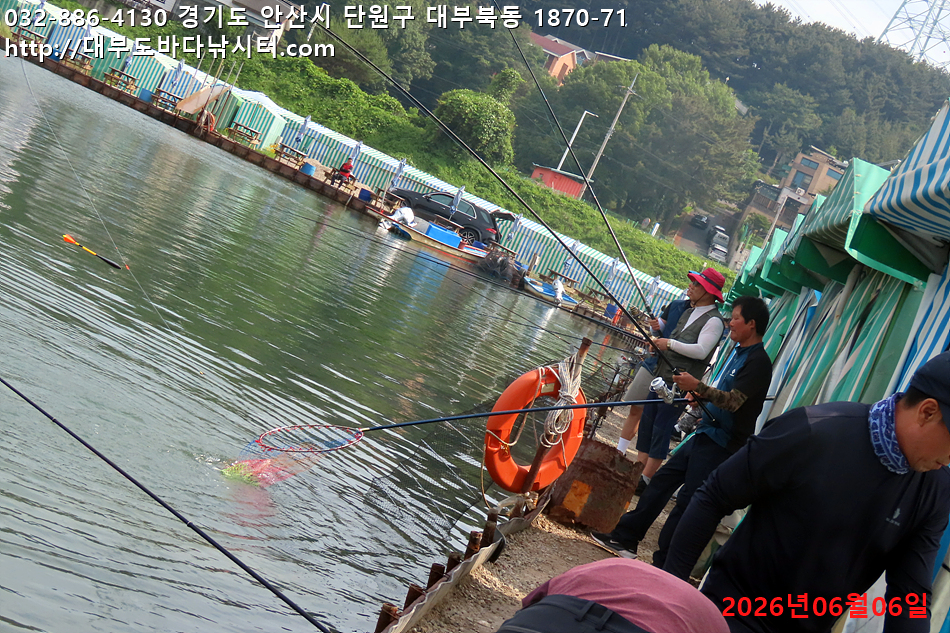 IMG_9573.jpg