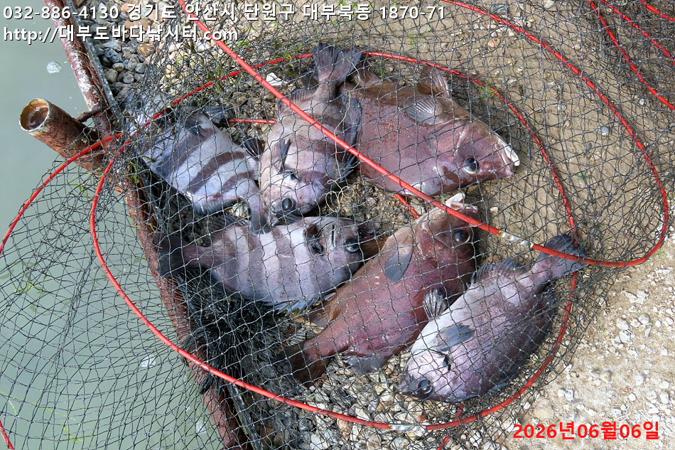 IMG_9588.jpg