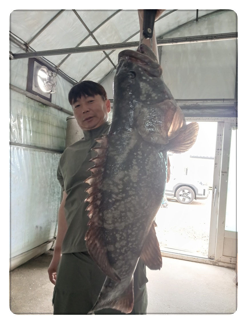 002.jpg