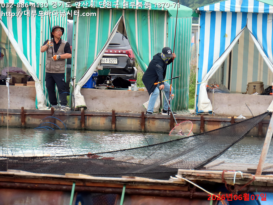 IMG_2266.jpg