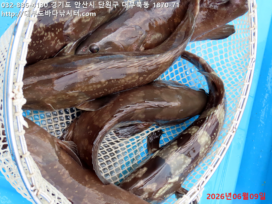 IMG_2386.jpg