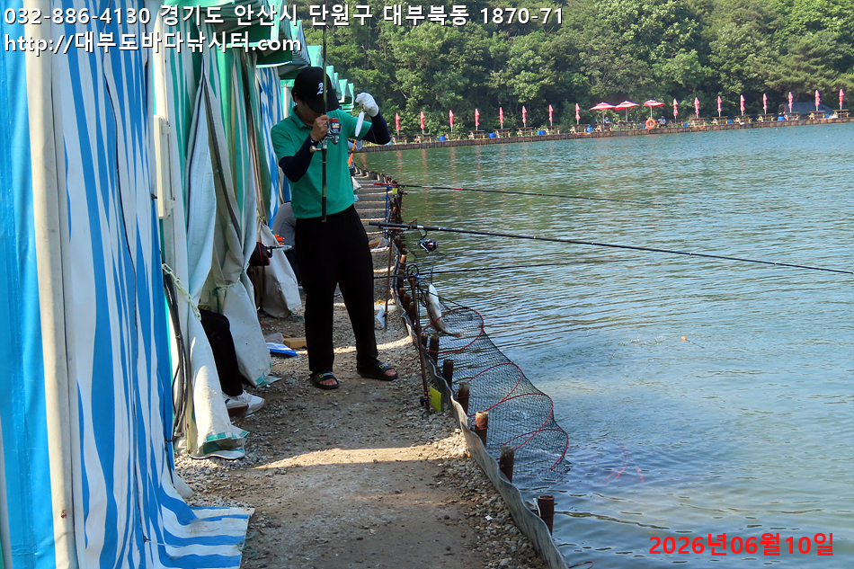 IMG_9661.jpg