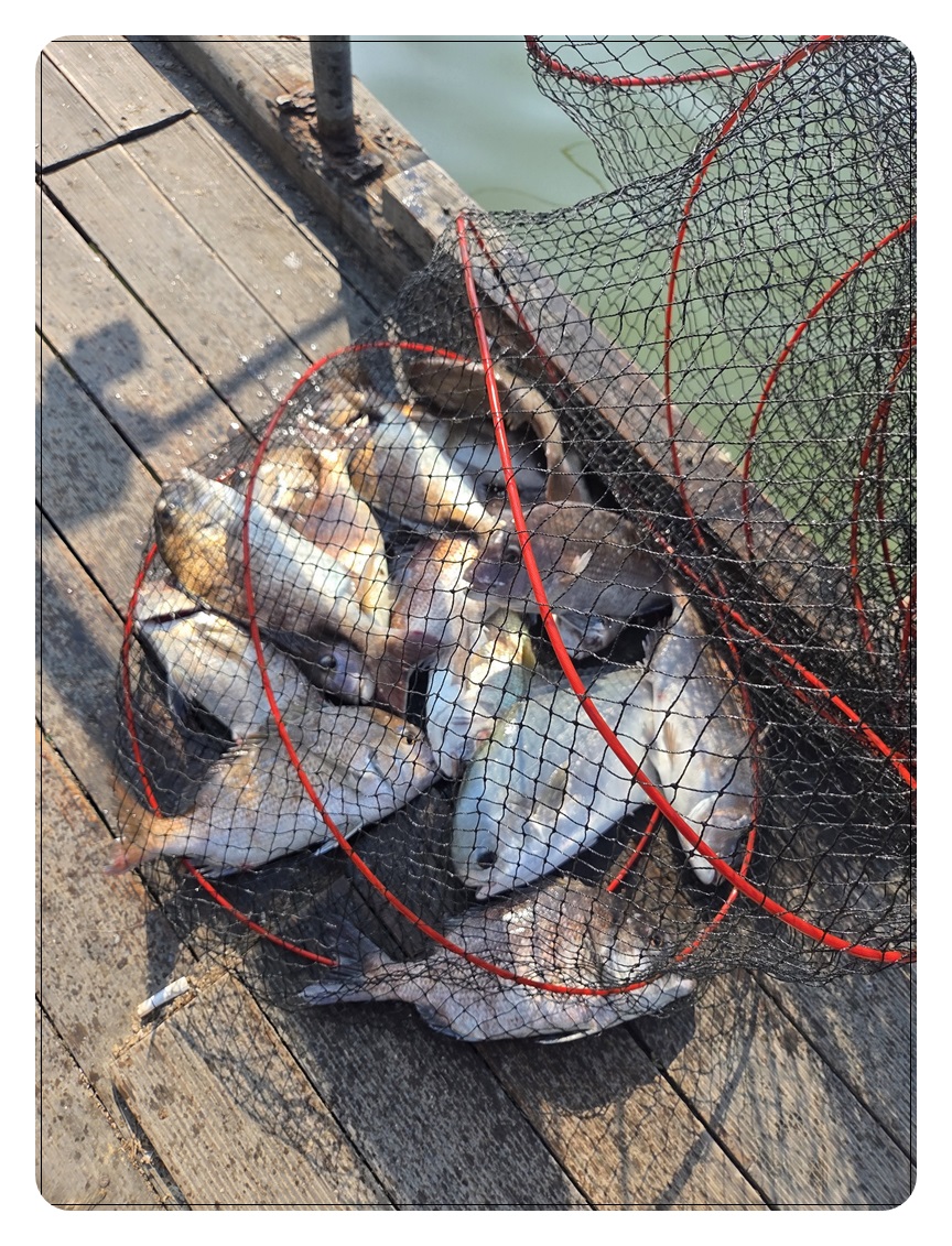 007.jpg