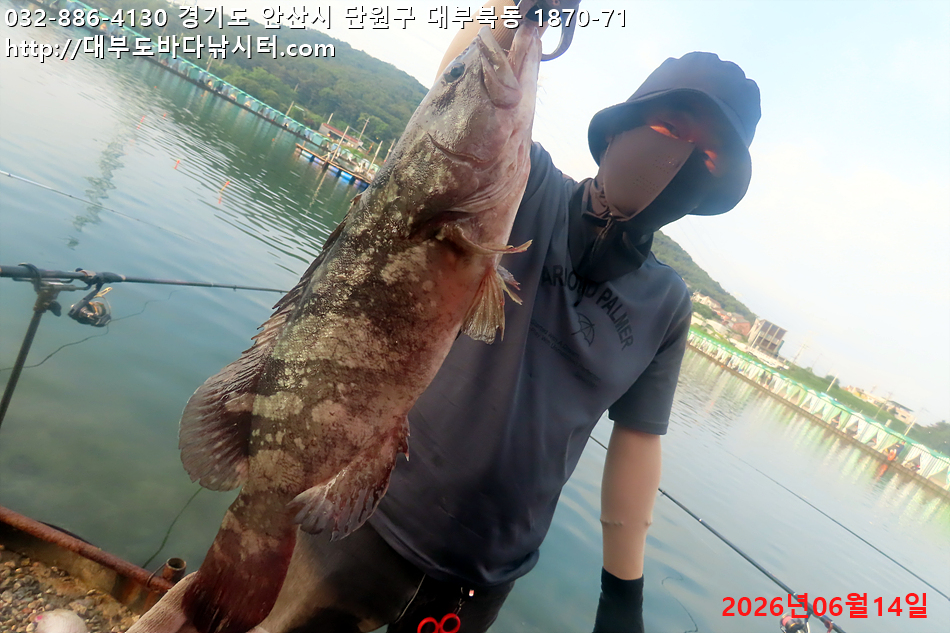 IMG_9730.jpg