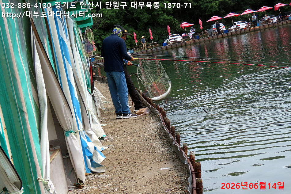 IMG_9759.jpg