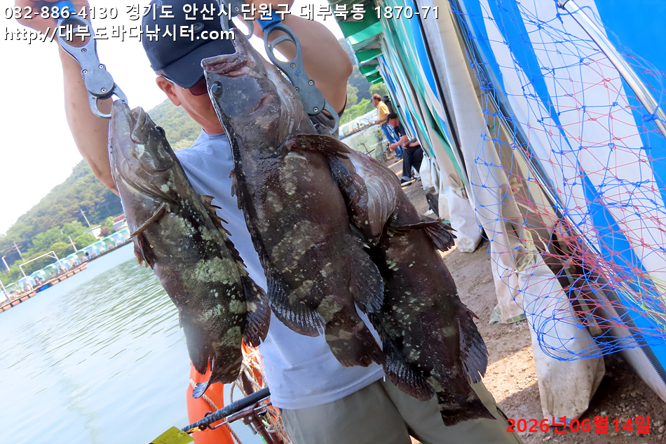 IMG_9790.jpg