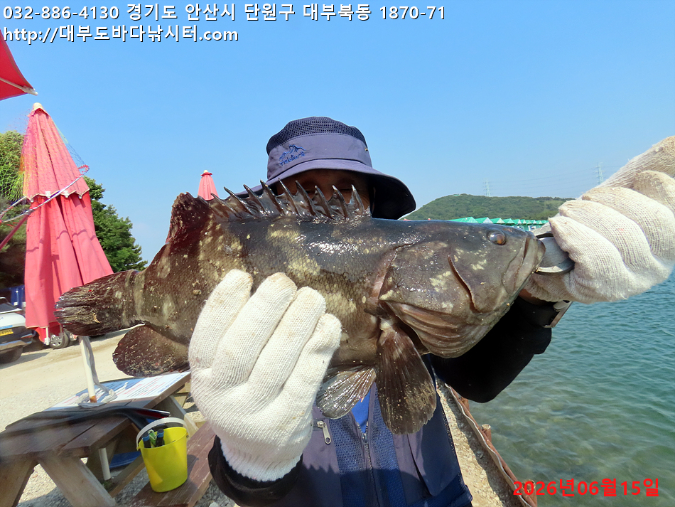 IMG_2656.jpg