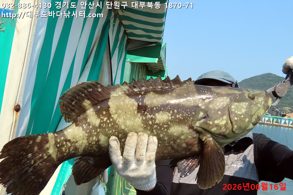 IMG_9805.jpg