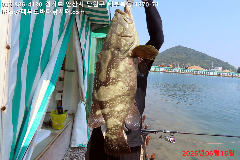 IMG_9806.jpg