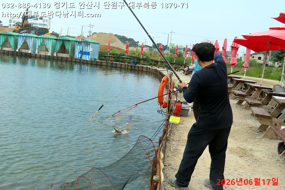 IMG_9844.jpg