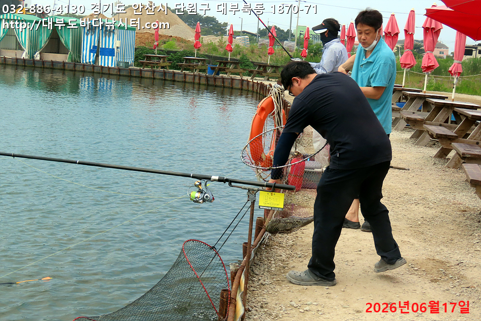 IMG_9845.jpg