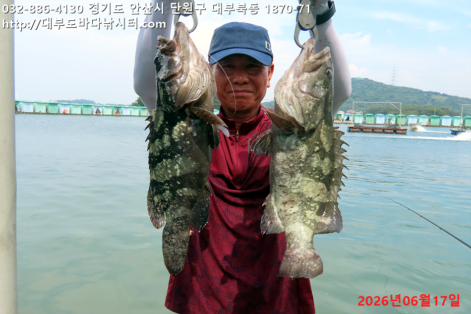 IMG_9851.jpg