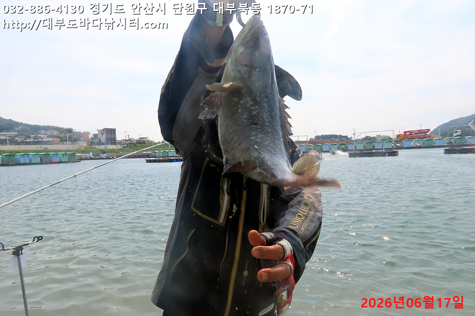 IMG_9863.jpg