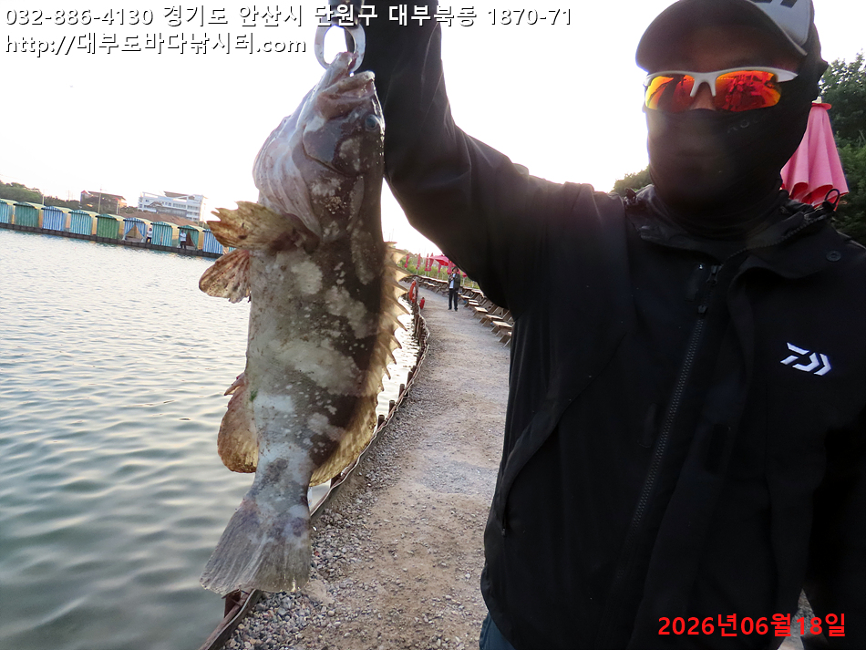 IMG_2671.jpg
