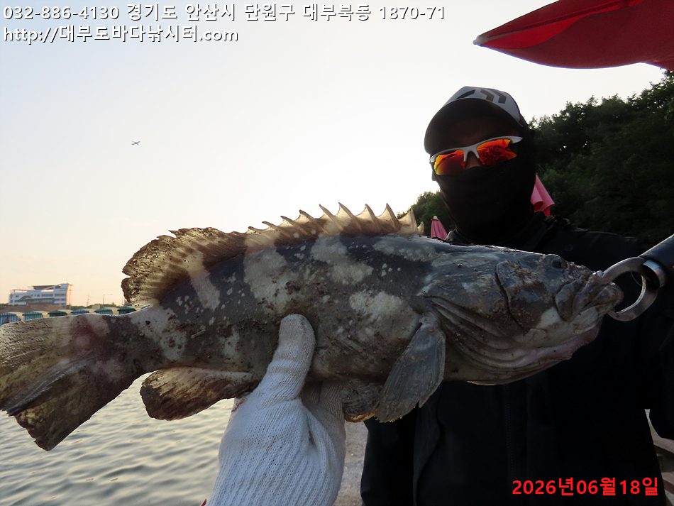 IMG_2672.jpg