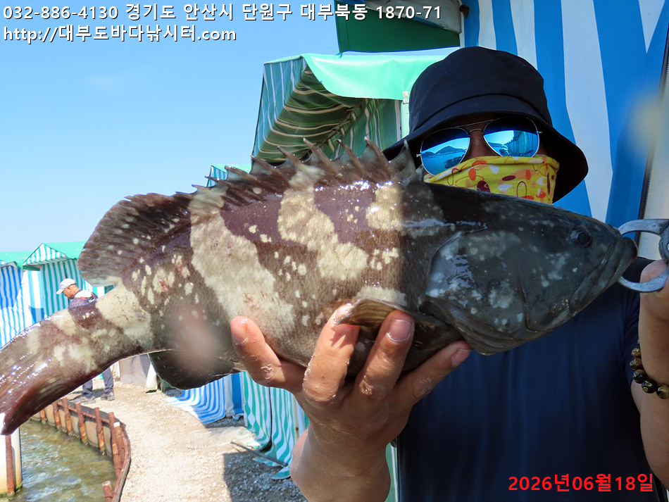 IMG_2695.jpg
