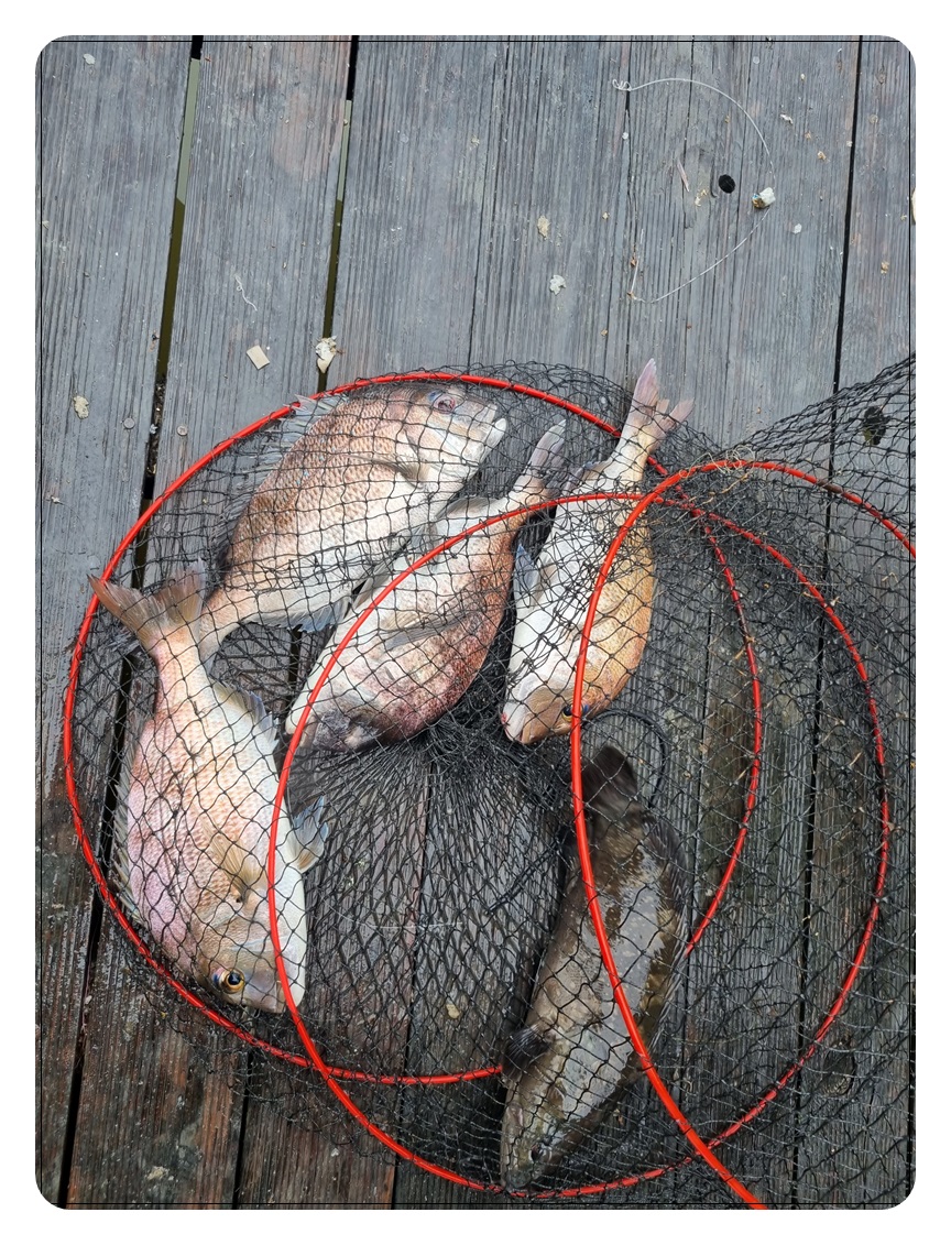057.jpg