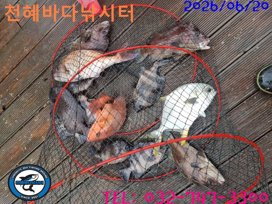 1781948303491.jpg