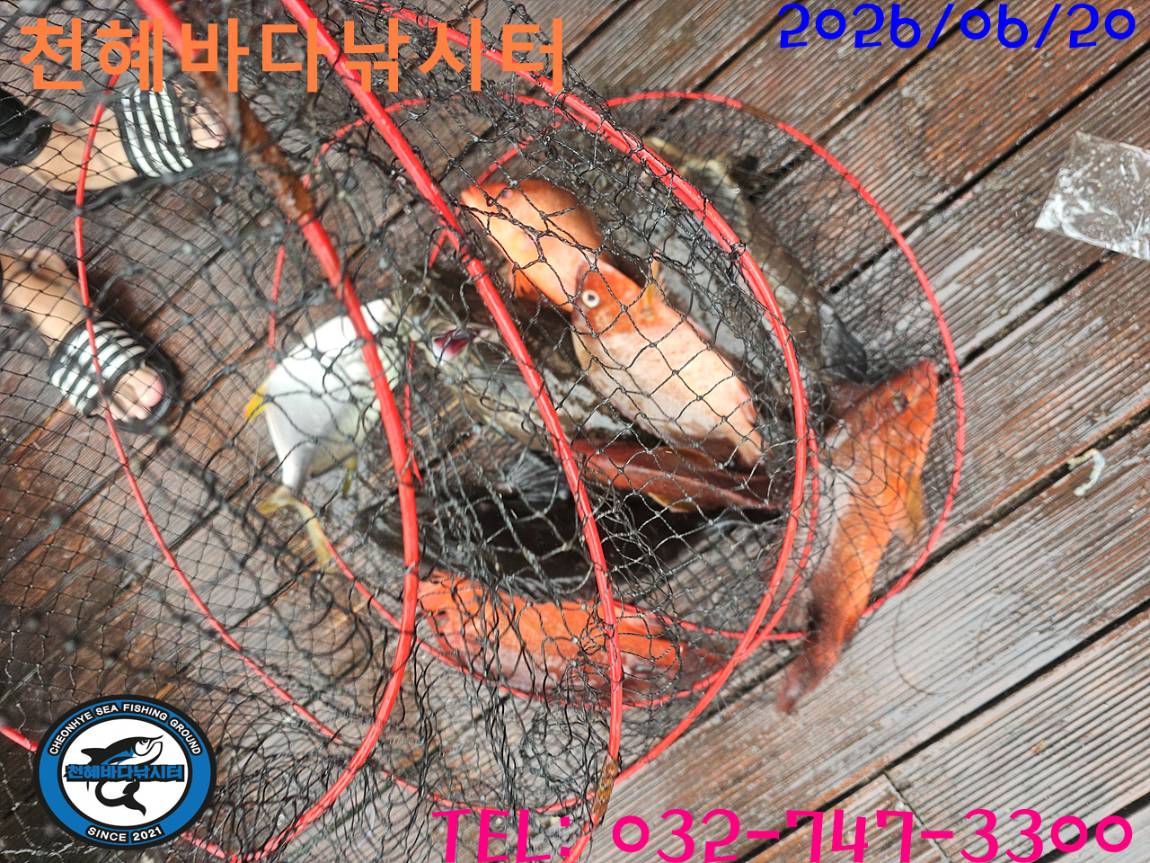 1781948315599.jpg