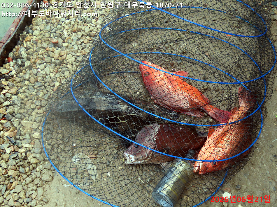 IMG_2743.jpg