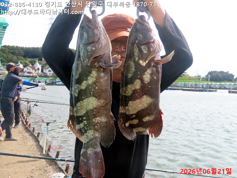 IMG_2809.jpg