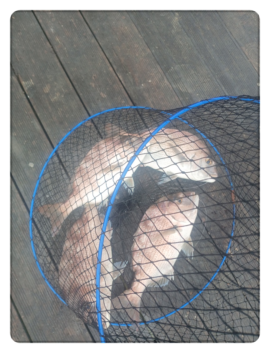 044.jpg