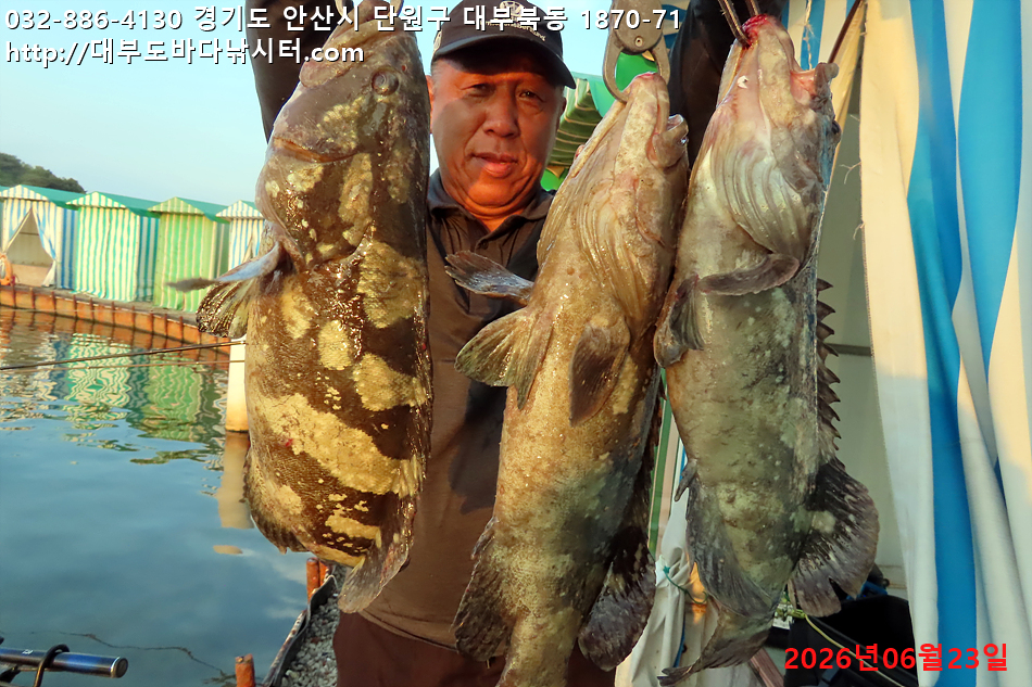 IMG_2963.jpg