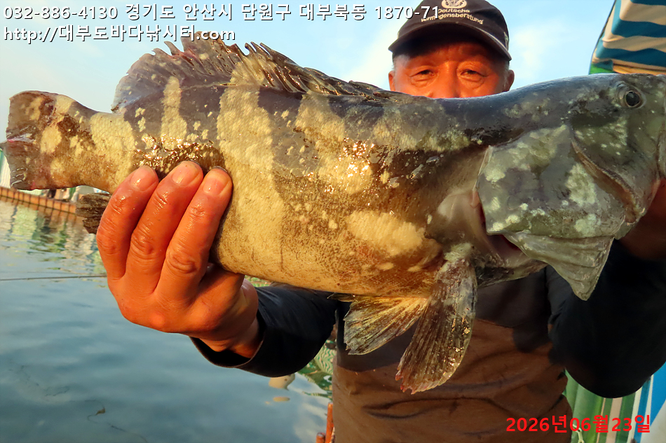 IMG_2964.jpg