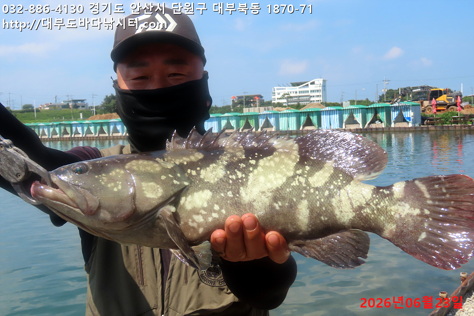 IMG_2975.jpg