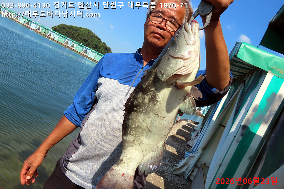 IMG_2985.jpg