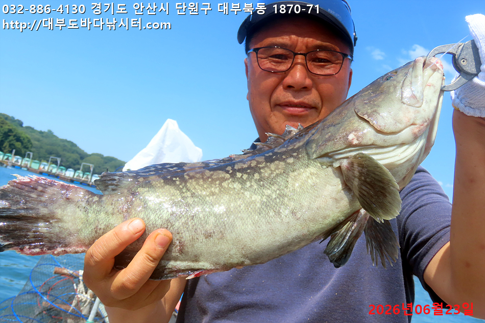 IMG_2981.jpg