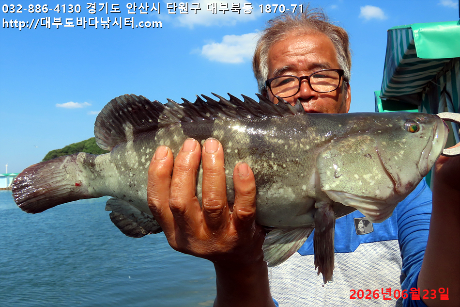 IMG_2984.jpg