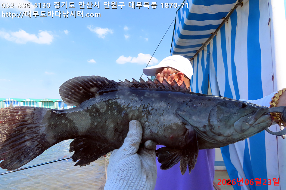IMG_2986.jpg