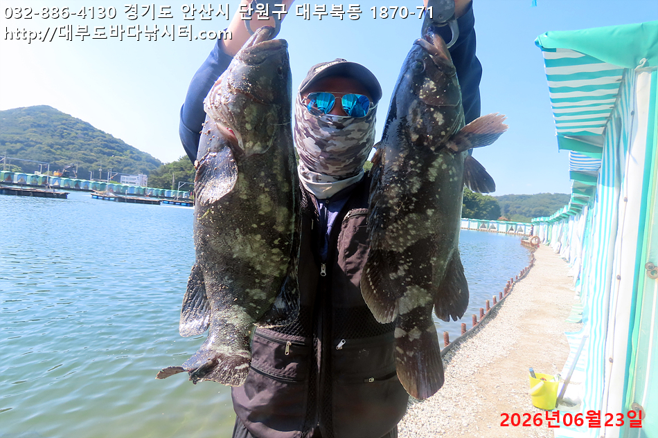 IMG_2992.jpg