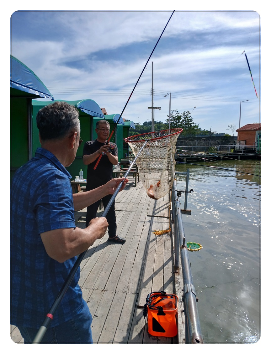 042.jpg
